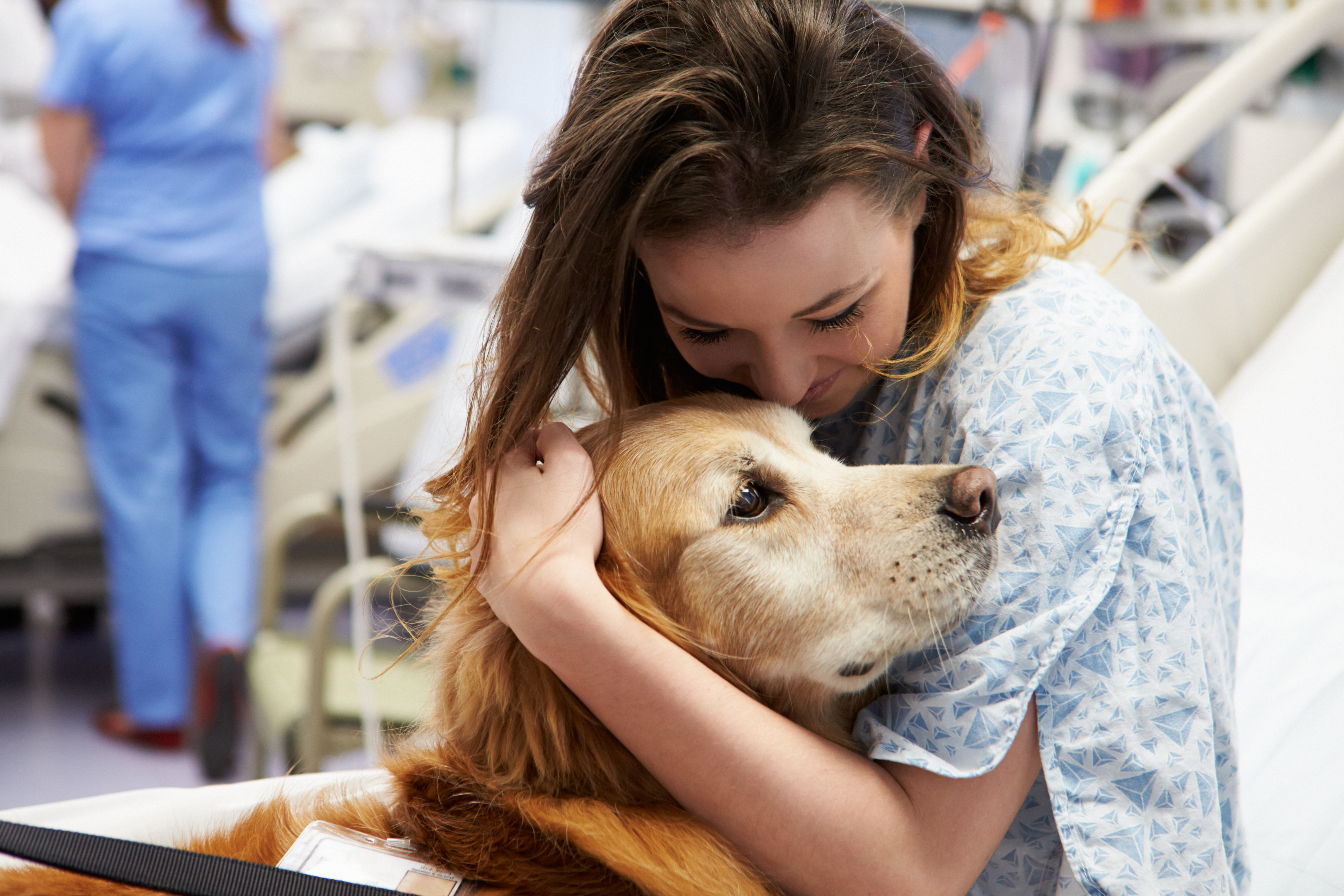 Pies w szpitalu ukojeniem dla chorych