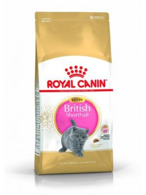 ROYAL CANIN BRITISH SHORTHAIR KITTEN 10 kg