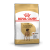 ROYAL CANIN Great Dane Adult 12kg karma sucha dla psów dorosłych rasy dog niemiecki