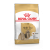 ROYAL CANIN Shih Tzu Adult 0,5kg karma sucha dla psów dorosłych rasy shih tzu