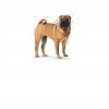 Royal Canin Medium Dermacomfort 10kg