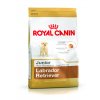 Royal Canin Labrador Retriever Junior 12kg