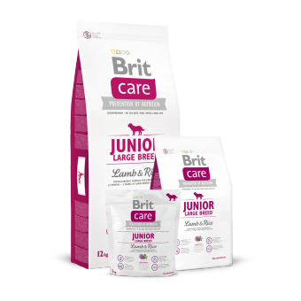 Brit Care Junior Large Breed Jagnięcina z Ryżem 12 kg