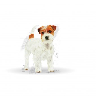 Royal Canin Jack Russell Terrier Adult 0,5kg