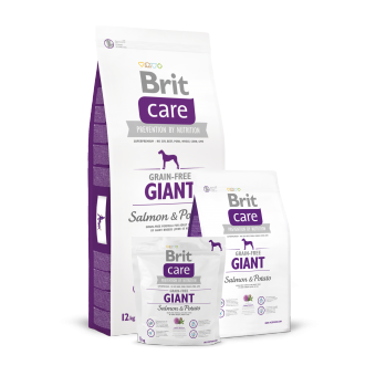 Brit Care Adult Giant Łosoś i Ziemniaki 12 kg - Bez zbóż