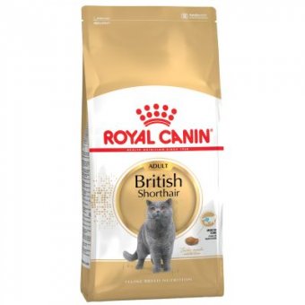 ROYAL CANIN BRITISH SHORTHAIR 10 kg