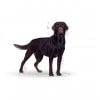 Royal Canin Labrador Sterilised Adult 12kg