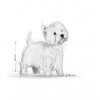 Royal Canin West Highland White Terrier Adult 0,5kg