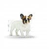 Royal Canin French Bulldog Junior 1kg
