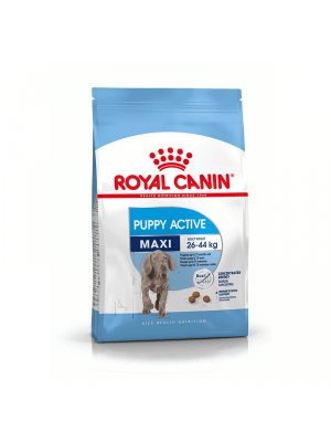 ROYAL CANIN Maxi Puppy Active 15kg karma sucha dla szczeniąt ras dużych o wyższym zapotrzebowaniu energetycznym 
