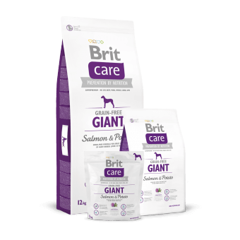 Brit Care Adult Giant Łosoś i Ziemniaki 1 kg - Bez zbóż