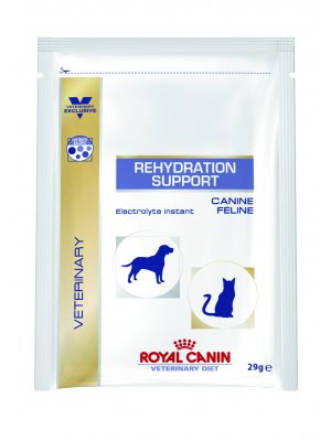 Royal Canin Rehydration Support 29g