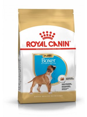 ROYAL CANIN Boxer Puppy 12kg karma sucha dla szczeniąt rasy Boxer
