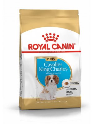 ROYAL CANIN Cavalier King Charles Puppy 1,5kg karma sucha dla szczeniąt rasy Cavalier King Charles